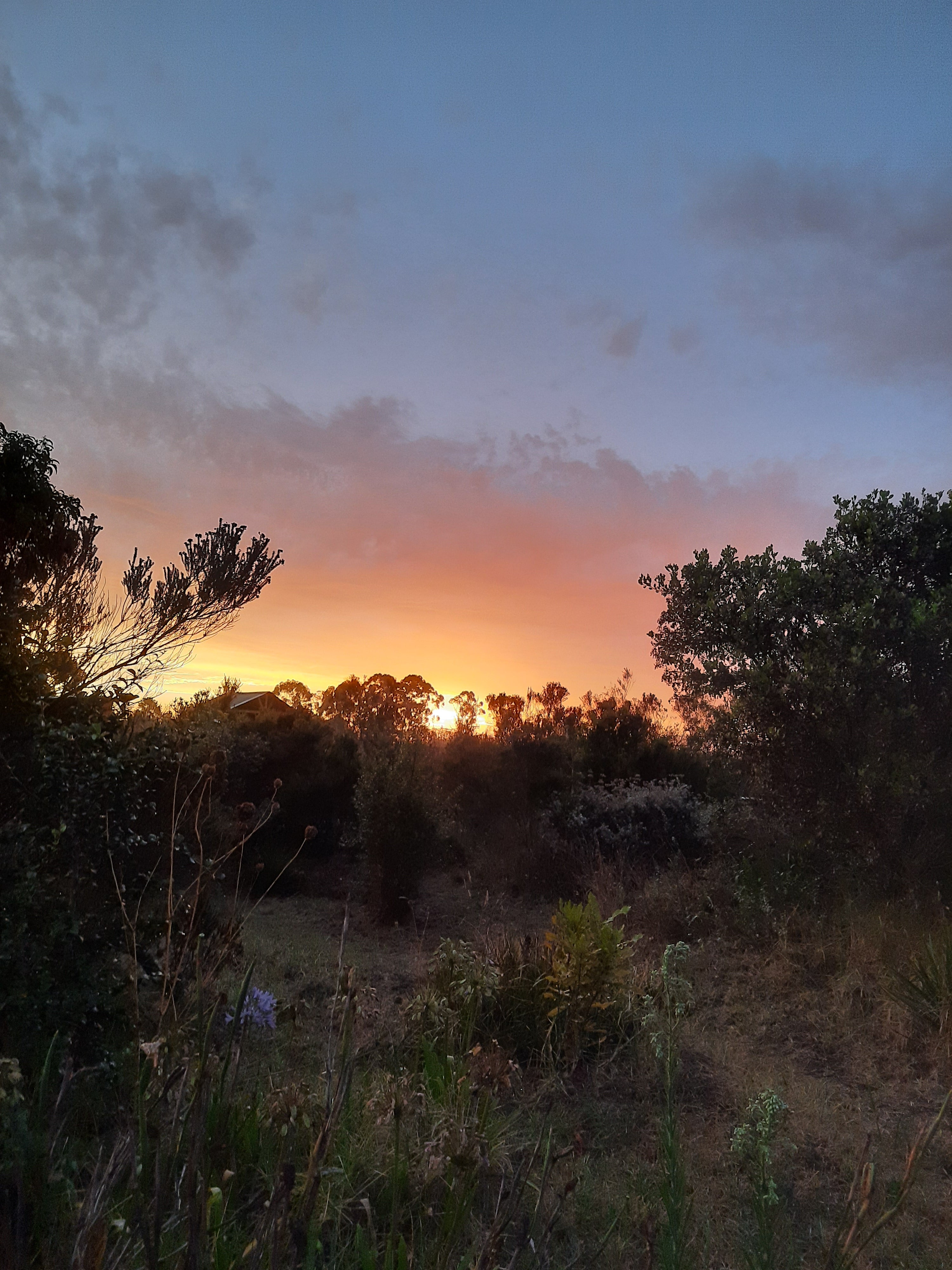Open Campsites