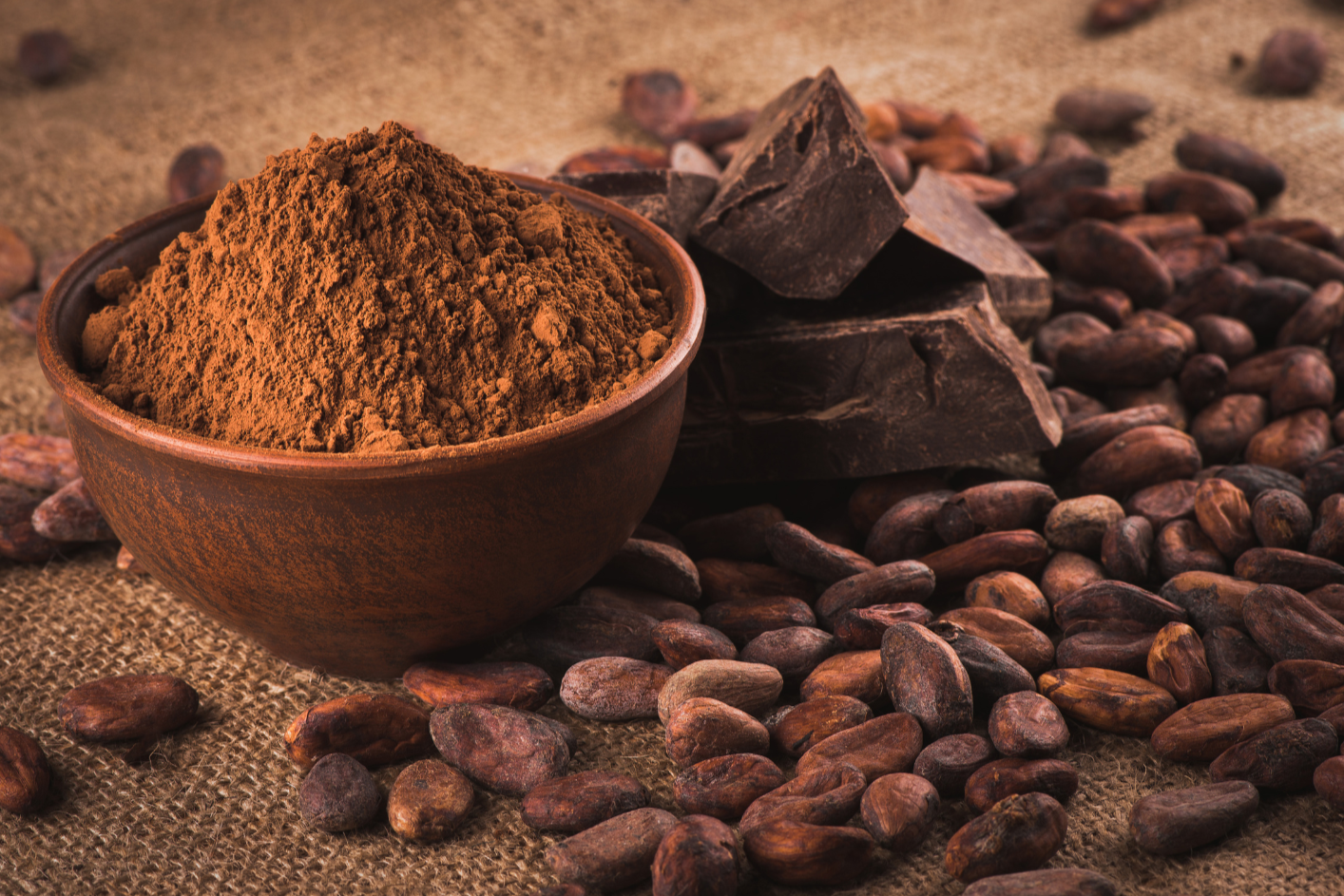 Raw Cacao Powder