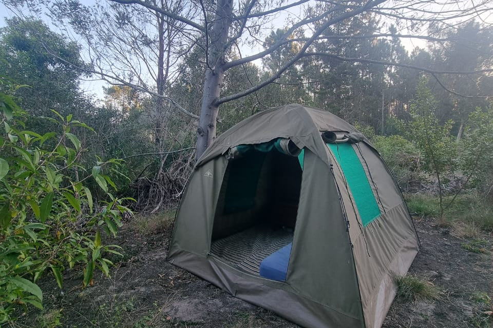 The Fynbos Wanderer