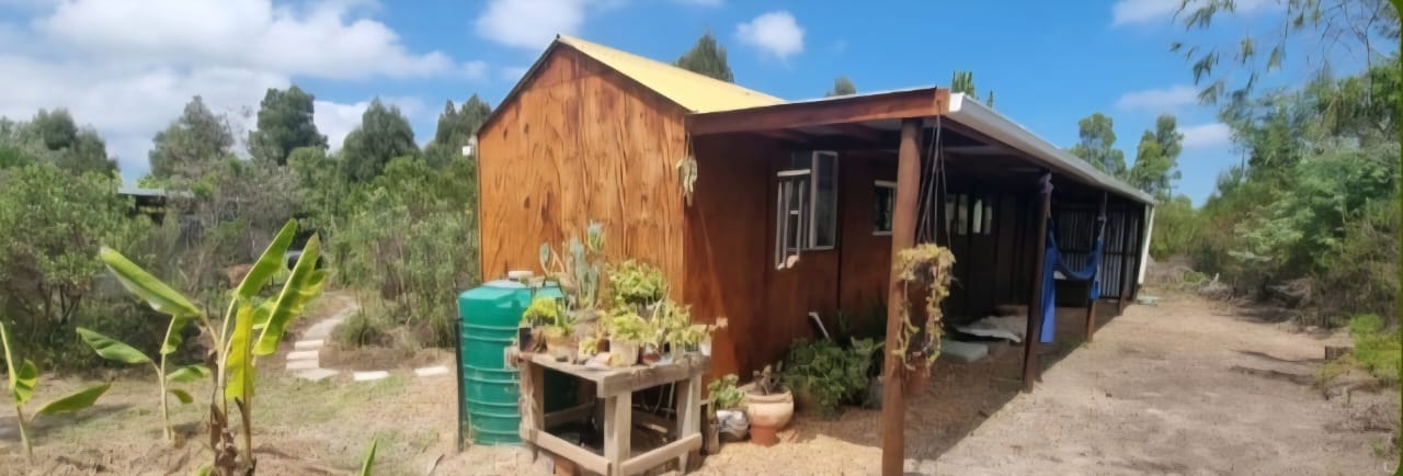 The Cabin