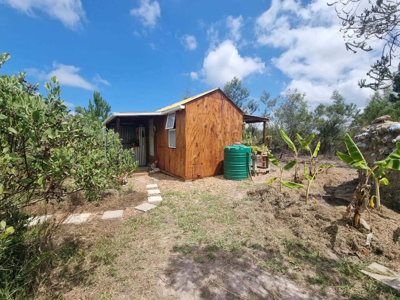 The Cabin